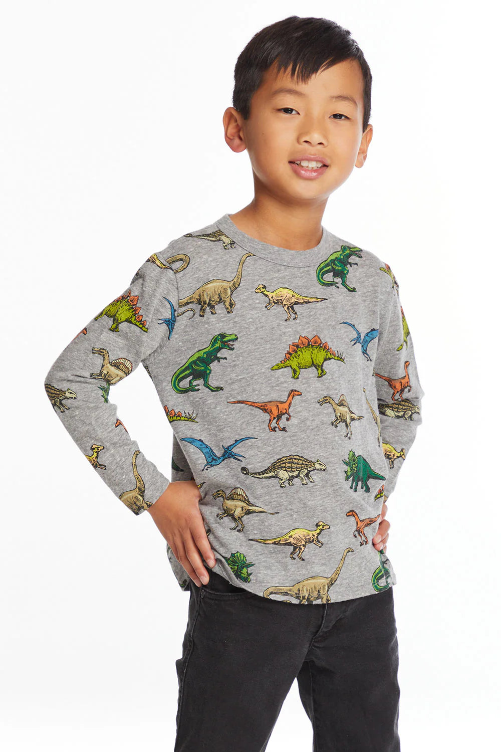 Grey Dinosaurs Long Sleeve Crew Tee